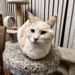 Tails to Scales Pet Care