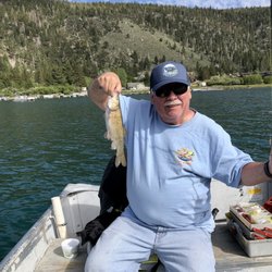 June Lake Marina - First fish caught on the fishing rod.