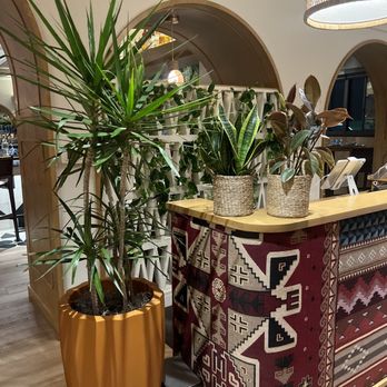 MEX - Reception area - Mexican Near Me - Bloomfield Hills, Michigan MEX - Reception area - Mexican Near Me - Bloomfield Hills, Michigan