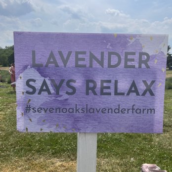 Seven Oaks Lavender Farm - Flowers & Gifts Near Me - Catlett, Virginia Seven Oaks Lavender Farm - Flowers & Gifts Near Me - Catlett, Virginia