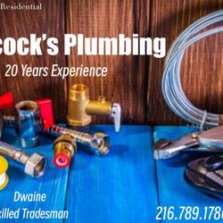 Peacock’s Plumbing