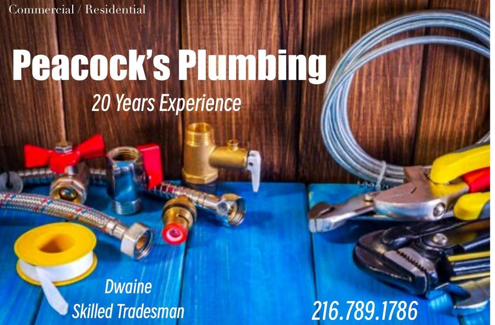 Slide of Peacock's Plumbing