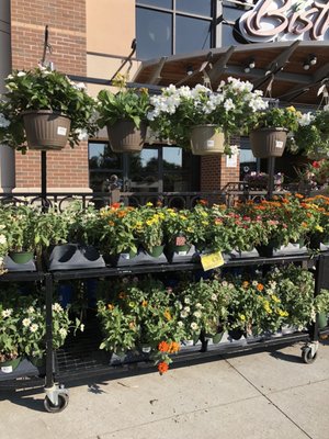 Market Bistro 873 New Loudon Rd Latham Ny Food Markets Mapquest