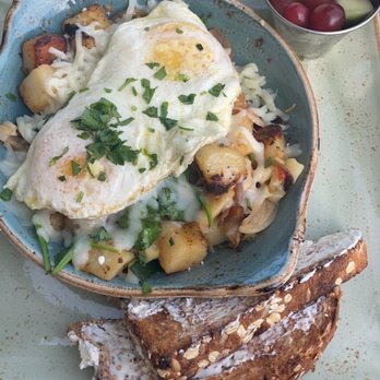 First Watch - Market Hash - Cafes Near Me - New Port Richey, Florida First Watch - Market Hash - Cafes Near Me - New Port Richey, Florida