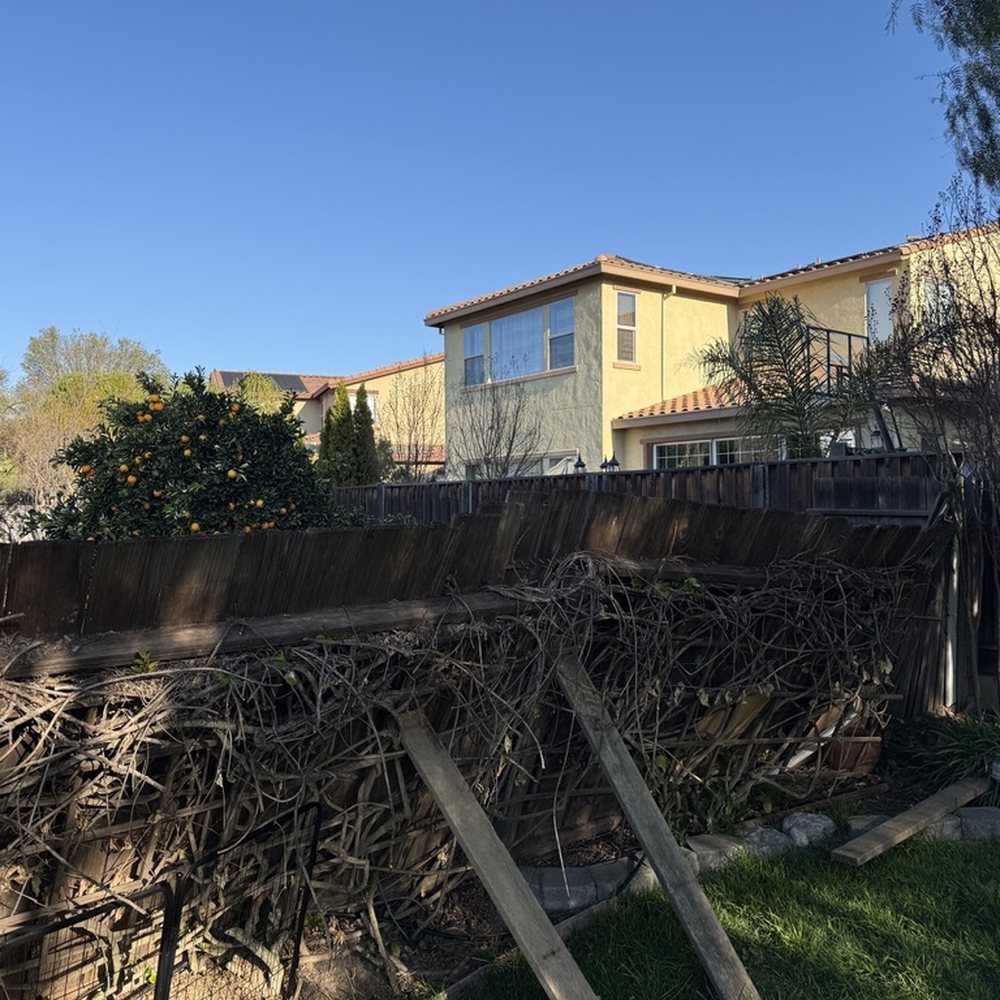 Endless Summer Landscape  - before - Landscaping Near Me