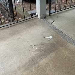 The owner sugar, daddy spilling products on the ground and leaving it.
