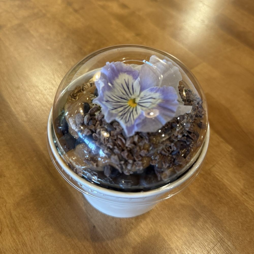 Goji Berry - Vegan Near Me - Phoenix, Arizona Goji Berry - Vegan Near Me - Phoenix, Arizona
