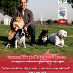 Borja Capponi Academy - El mejor adiestramiento para nuestros perros (y para nosotros)