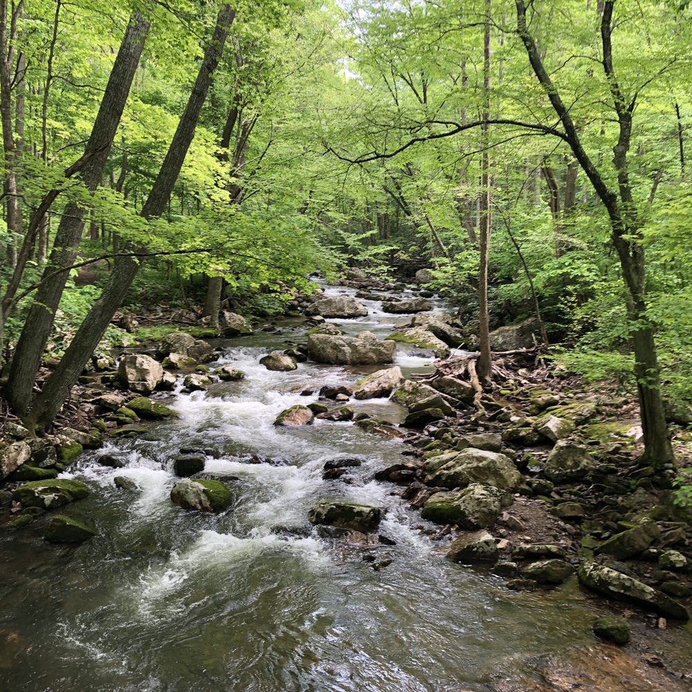 Cascade Falls - View of the falls throughout the hike. - Parks Near Me - Pembroke, Virginia