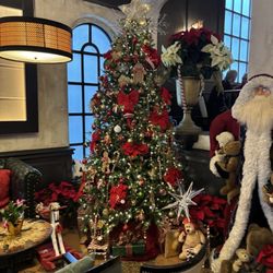 Gargiulo's - Pretty tree
