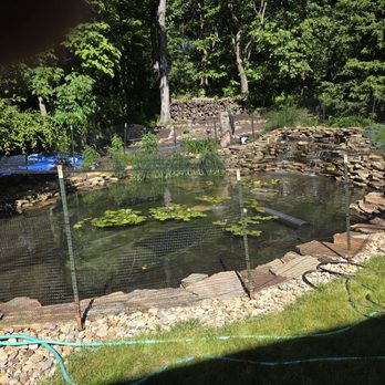 Prestigious Ponds and Water Features - Our finished pond and Happy koi in their clean home - Landscaping Near Me Prestigious Ponds and Water Features - Our finished pond and Happy koi in their clean home - Landscaping Near Me
