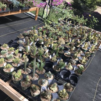 Evergreen Farm - Nurseries & Gardening Near Me - San Jose, California Evergreen Farm - Nurseries & Gardening Near Me - San Jose, California