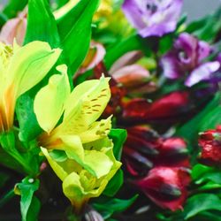 Littlefield Flowers & Gifts