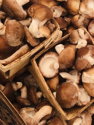 Cape Coral Farmers Market by null