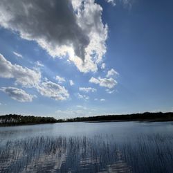 Blackwater National Wildlife Refuge