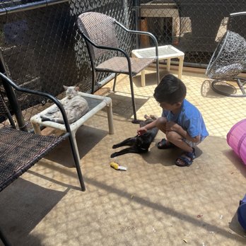 Maui Humane Society - Animal Shelters Near Me - Puunene, Hawaii