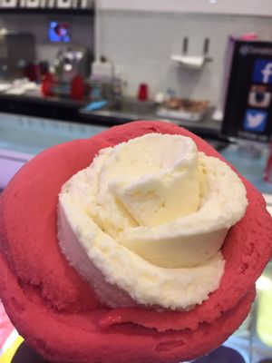 Gelati d'Alberto by null