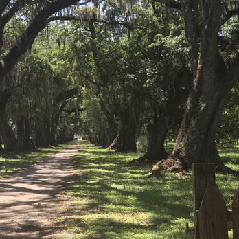 Evergreen Plantation - Landmarks & Historical Buildings Near Me - Edgard, Louisiana