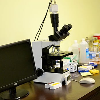 Natural Healing Center - Live Blood Analysis - Acupuncture Near Me - Myrtle Beach, South Carolina Natural Healing Center - Live Blood Analysis - Acupuncture Near Me - Myrtle Beach, South Carolina