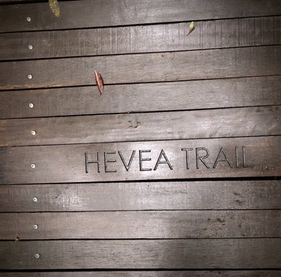 Lower Peirce Reservoir Park by null