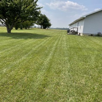 Halcon Landscaping - a view of a lawn with a house in the background - Landscaping Near Me Halcon Landscaping - a view of a lawn with a house in the background - Landscaping Near Me