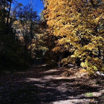 Mt Lemmon - Hiking Near Me