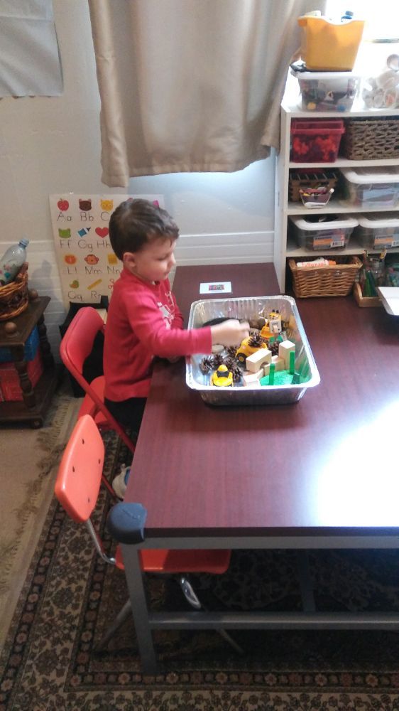 Tracey's Teddybear Daycare - childcare center in Bellevue, WA