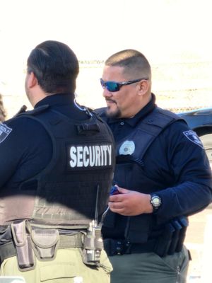 DELTA SECURITY SERVICES - Updated July 2025 - 34 Photos - 8055 N 24th ...