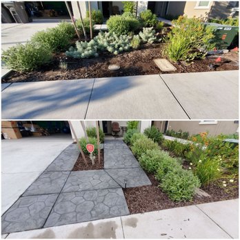 Bella Vista Landscape - Landscaping Near Me