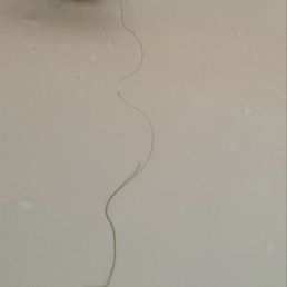 Long black hair (I'm blonde) husband has short hair... Long black hair (I'm blonde) husband has short hair...