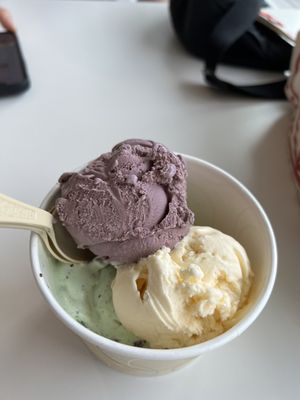 Cornell Dairy Bar by null
