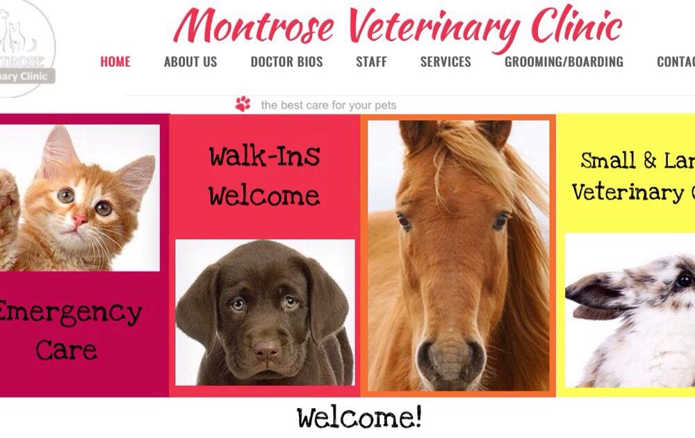 MONTROSE VETERINARY CLINIC Updated September 2024 2260 S Townsend