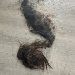 Bye bye hair! Bye bye hair!