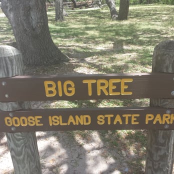 Big Tree - Sign - Landmarks & Historical Buildings Near Me