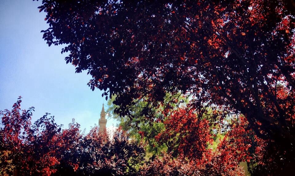 Giardino Borgo Allegri