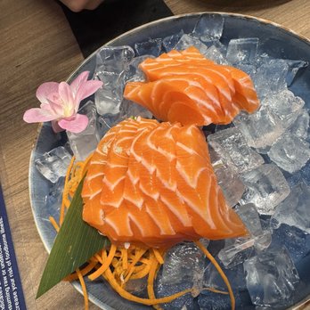 Sea-San Sushi Bar - Sushi Bars Near Me - Orlando, Florida Sea-San Sushi Bar - Sushi Bars Near Me - Orlando, Florida