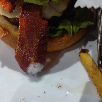 Bocado Cafe - Bacon burger with what appears to be a feather on it. - New American Near Me - New York, New York Bocado Cafe - Bacon burger with what appears to be a feather on it. - New American Near Me - New York, New York