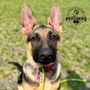 Photo of Fetchers