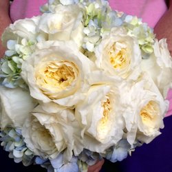 Amy's Florist