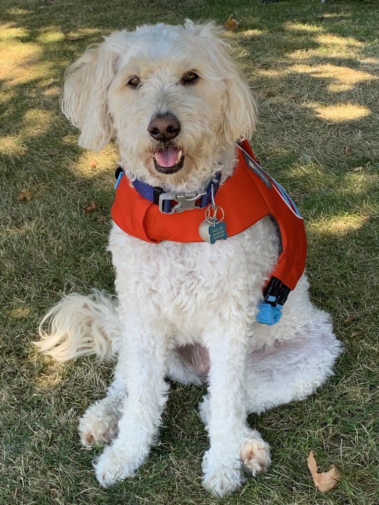 CENTRALIA PET RESORT Updated October 2024 12 Photos & 12 Reviews 515 Bryden Ave, Centralia