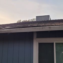 Quality Lawn and Tree Care