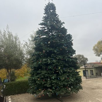 Viaggio Estate & Winery - All ready for the holiday season - Wineries Near Me - Acampo, California Viaggio Estate & Winery - All ready for the holiday season - Wineries Near Me - Acampo, California