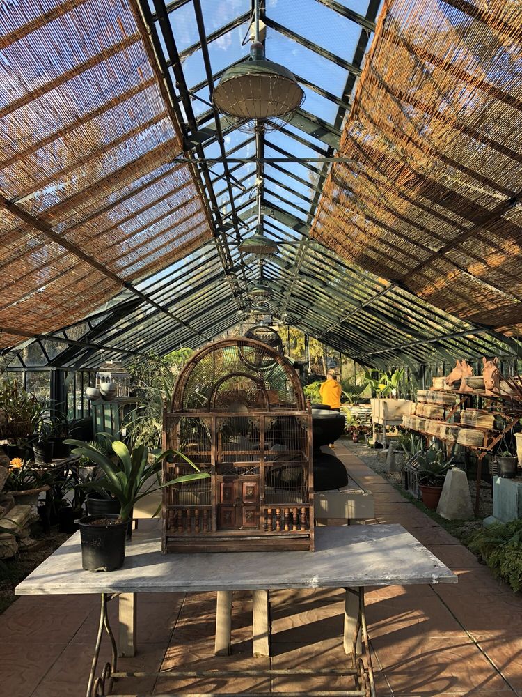 SOUTHLANDS NURSERY 31 Photos & 12 Reviews Nurseries & Gardening