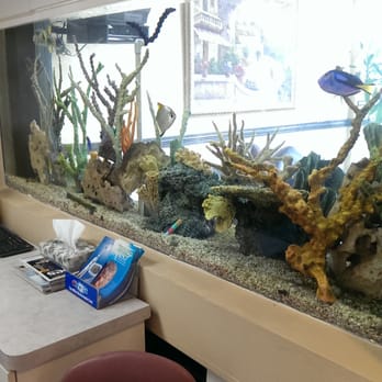 Comfort Dental - I love this tank. It is so relaxing - General Dentistry Near Me - Garden Grove, California Comfort Dental - I love this tank. It is so relaxing - General Dentistry Near Me - Garden Grove, California