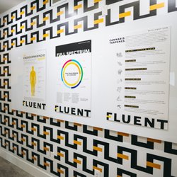 FLUENT - Kendall