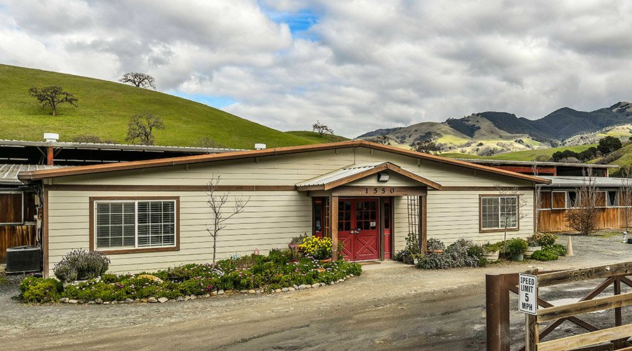 NORTH PEAK EQUESTRIAN Updated October 2024 13 Photos 1550 Castle