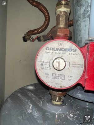 Plumb Crazy Plumbing Co Logo