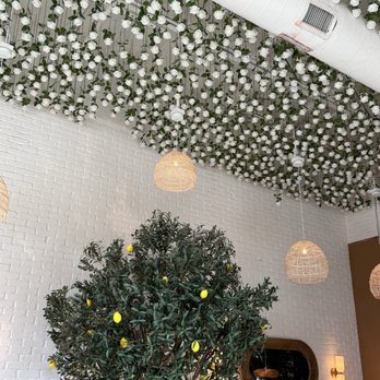 Sunny's - Love this! - Breakfast & Brunch Near Me - San Antonio, Texas Sunny's - Love this! - Breakfast & Brunch Near Me - San Antonio, Texas