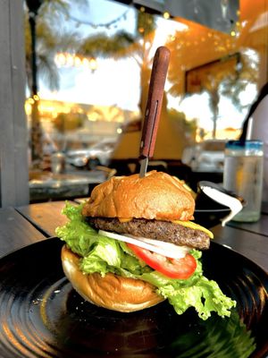 The Balboa South by null