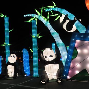 Hello Panda Festival - pandas - one looks like taking a whiz... - Festivals Near Me - Corona, New York